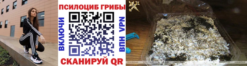 наркошоп  Лагань  Галлюциногенные грибы мухоморы 
